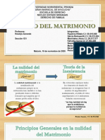 Nulidad Del Matrimonio, Tema 9