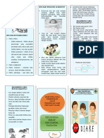 Leaflet DIARE