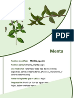 Plantas Medicinales Huayacocotla Veracruz