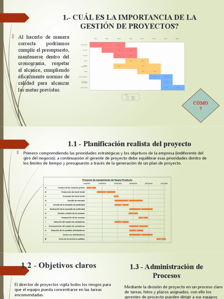 Importancia y Roles en Gestión de Proyectos | PDF