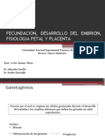 Fecundacion, Desarrollo Del Embrion, Fisiologia Fetal, Placenta