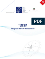 TUNISIA Indagine Di Mercato Multisettoriale