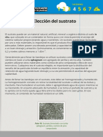 Sistema de Almácigos Flotantes para La Producción de Plantines 4