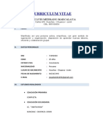 Curriculum Vitae Jorge Luis Medrano Marcalaya