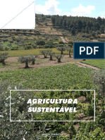 Agricultura Sustentável E-Book