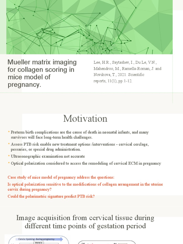 Mueller Matrix Imaging Technique PDF Polarization (Waves) Matrix