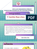 Un Acercamiento A Los Fundamentos Teóricos y Técnicos para Desarrollar Una Auditoría Integral.