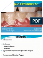 Plaque and Biofilm