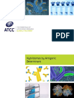 Hybridomas by Antigenic Determinant