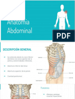 Anatomia y insiciones quirurgicas