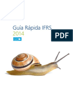 Deloitte ES Auditoria Guia-Rapida-IFRS-2014