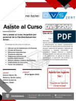 Flyer Certificación DVS 2205 v5