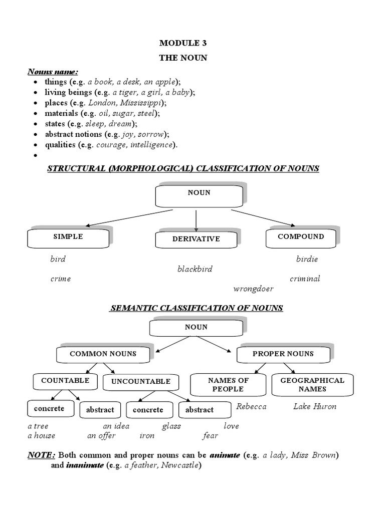Noun Full Version Pdf Grammatical Number Plural