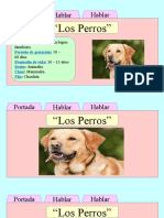 Los Perros