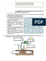 Ficha Agua y Reino Plantae