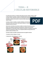 Tema 8 PATOLOGIA