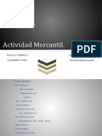 Actividad Mercantil