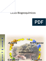 Ciclos Biogeoquímicos