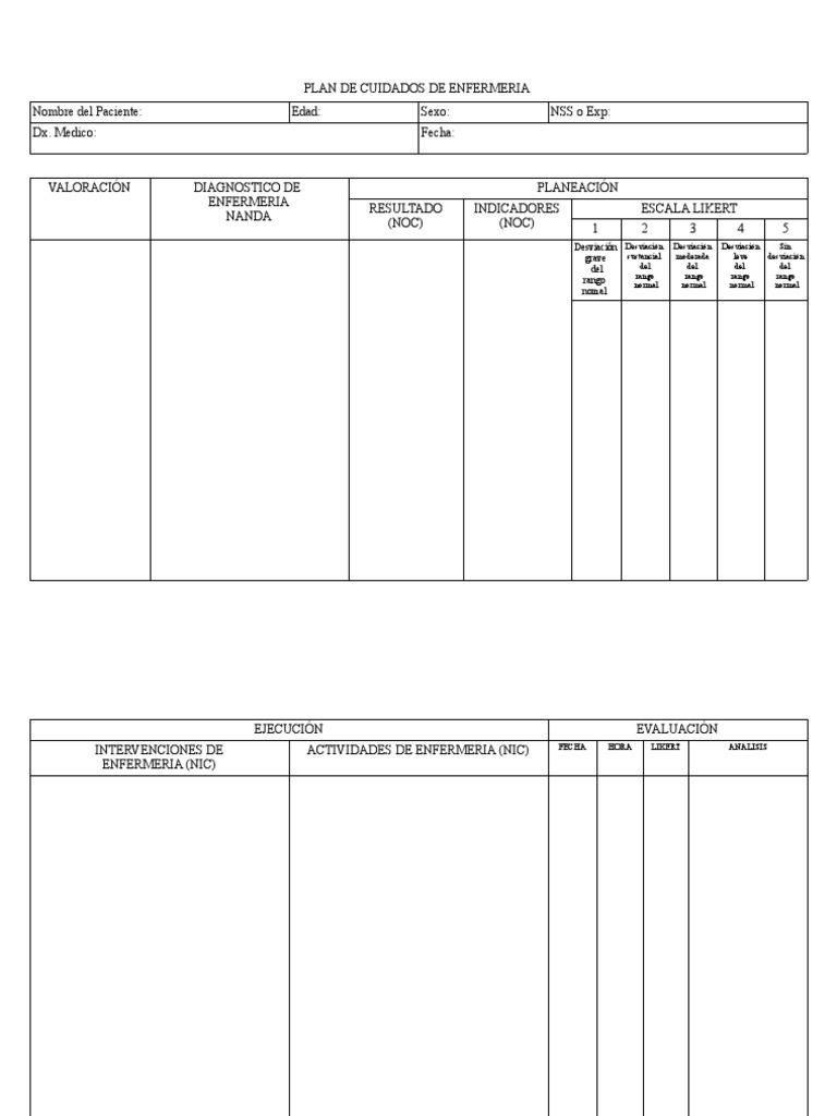 Formato Word Plan de Cuidados PDF | PDF