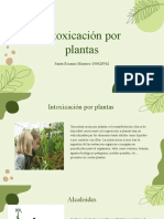 Intoxicación Por Plantas, Santa Escanio