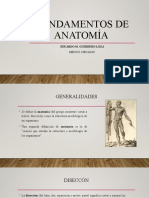 Generalidades de Anatomía