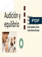 Audición y equipo 1