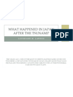 What Happened in Japan After The Tsunami