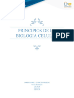 Principios de La Biologia Celular