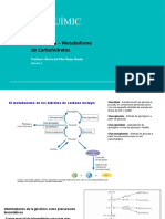 Clase 2-Metabolismo de Carbohidratos