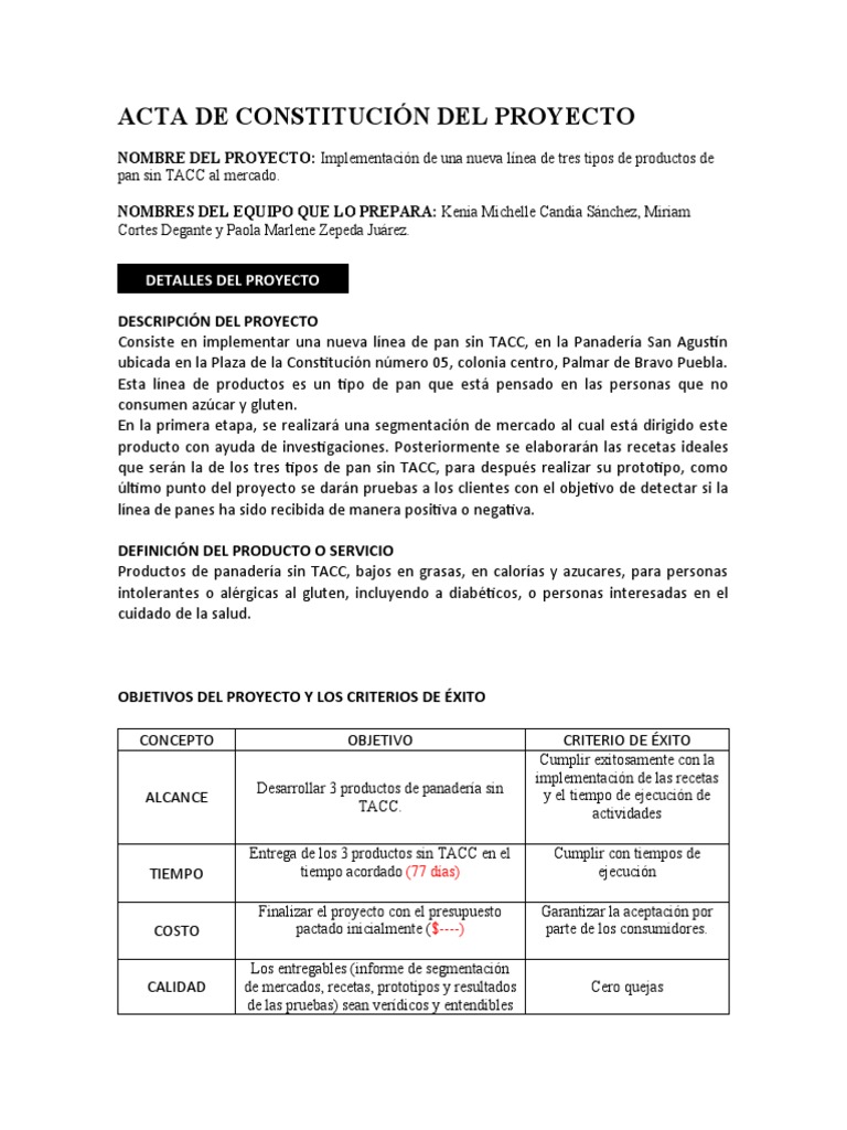 Acta de Constitución Del Proyecto | PDF | Presupuesto | Panes