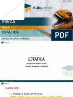 Física Estática