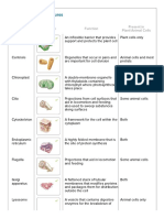 Summary of Cell Structures