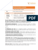 Informe Practica Pre Profesional 2