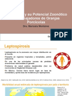 Leptospira Zoonosis MMC 2019