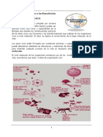 Introduccion A La Bioquimica