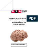 S5.s2 - Guía de Neuroanatomía - Completa