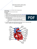 LKPD Struktur Jantung