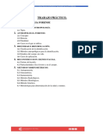 Antropología Forense: Identificación e Identidad