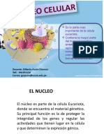 Semana 6 Nucleo Cromosomas Etc.