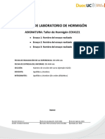 1 1 4 Formato Informe Tecnico