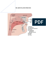 The Articulation Process