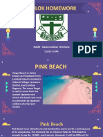 Pink Beach Lombok Homework