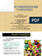 Plant Pigmentation 24