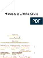 Hierarchy of Criminal Courts