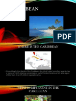 The Caribbean