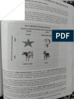 Analyzing Products Using the BCG Growth-Share Matrix