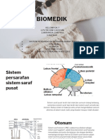 Biomedik Kel 7