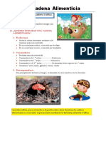 La cadena alimenticia: flujo de energía entre productores, consumidores y descomponedores