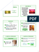 Clase 11. La Templanza