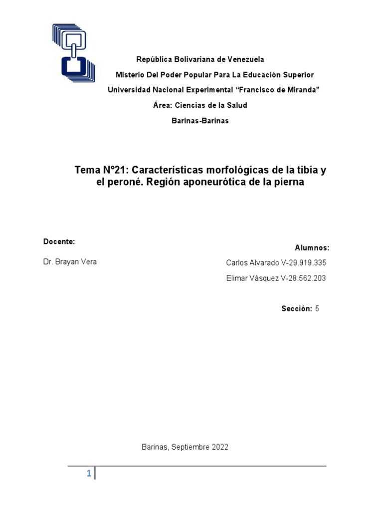 Tema 21. La Tibia y Perone | PDF | Pie | Tobillo